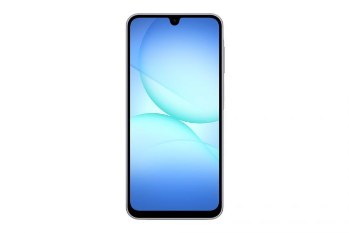 Смартфон Samsung Galaxy A17 SM-A175 4/128GB Gray (SM-A175FZABEUC)
