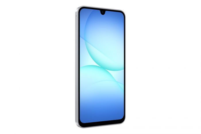 Смартфон Samsung Galaxy A17 SM-A175 4/128GB Gray (SM-A175FZABEUC)
