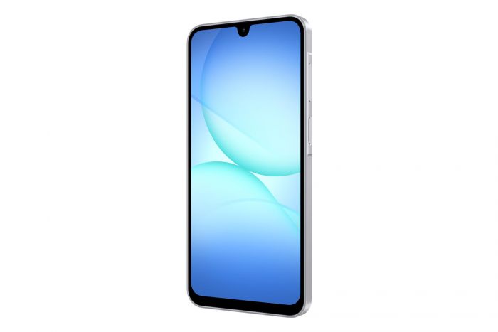 Смартфон Samsung Galaxy A17 SM-A175 4/128GB Gray (SM-A175FZABEUC)