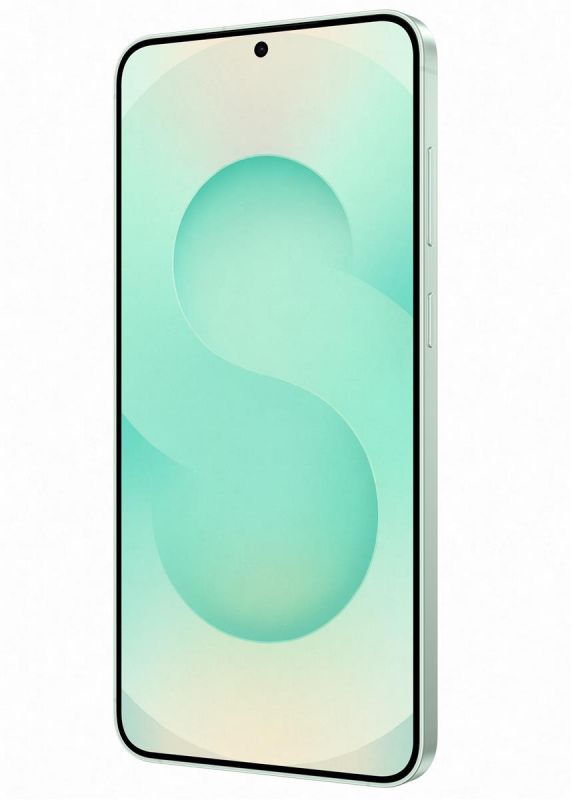 Смартфон Samsung Galaxy S25+ 12/256GB Mint (SM-S936BLGDEUC)